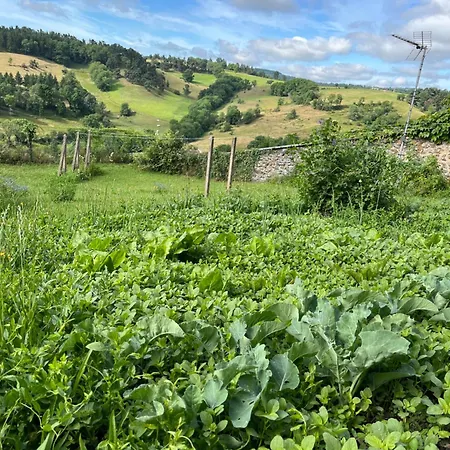Logis Ancien Grand Seminaire Saint-Flour (Cantal)