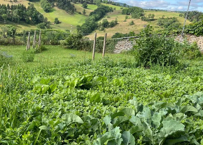Logis Ancien Grand Seminaire Saint-Flour (Cantal)